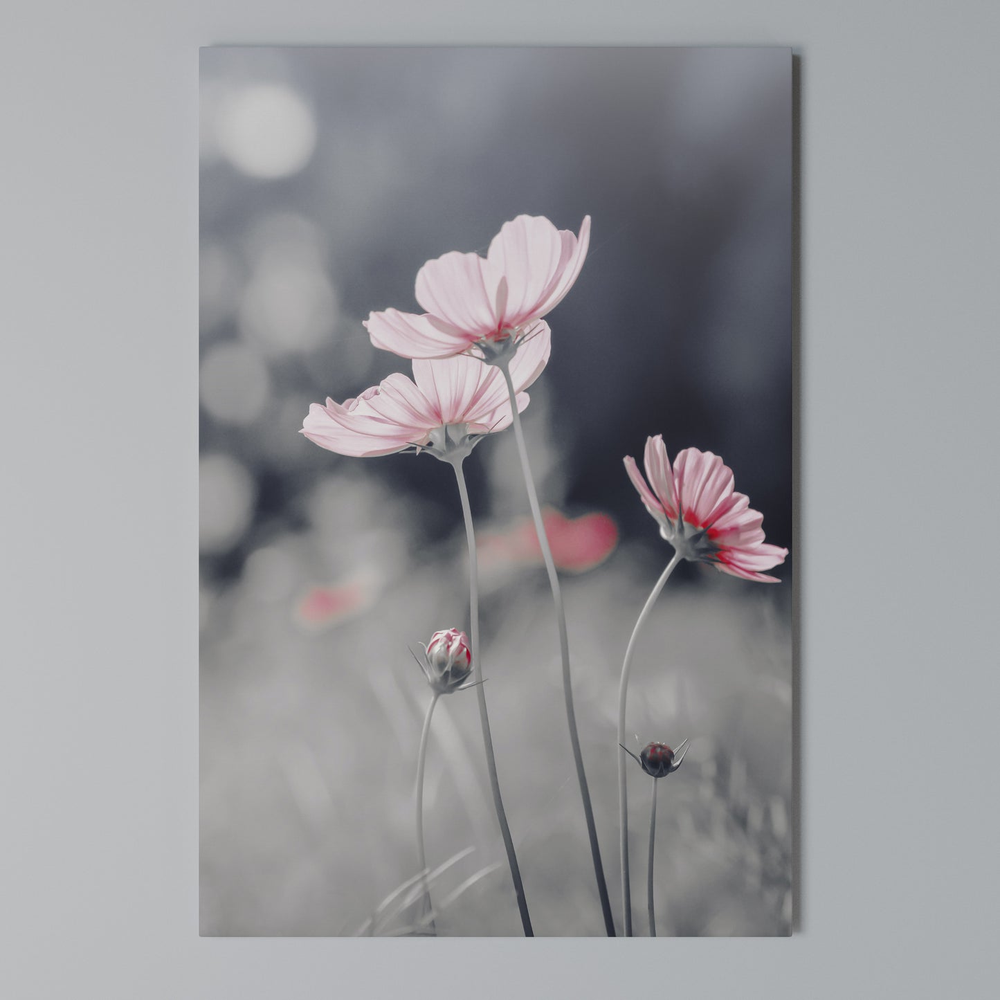 SUBTLE PETAL DANCE Stampa su Tela Verticale