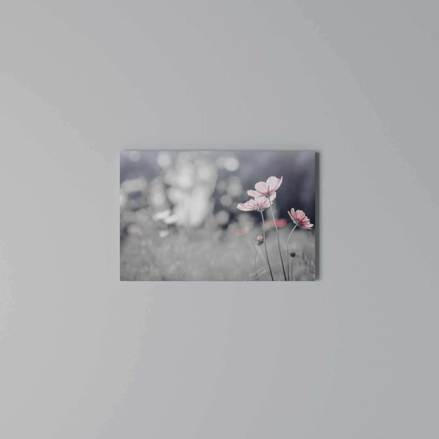 SUBTLE PETAL DANCE Stampa su tela orizzontale
