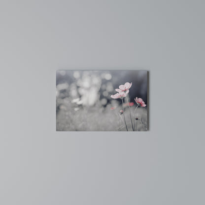 SUBTLE PETAL DANCE Stampa su tela orizzontale