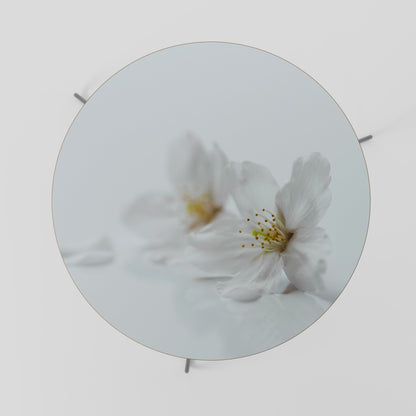 Tavolino da caffè FLEETING WHITE PETALS 69