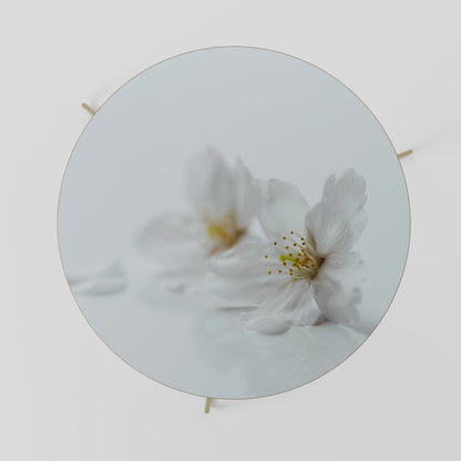 Tavolino da caffè FLEETING WHITE PETALS 69