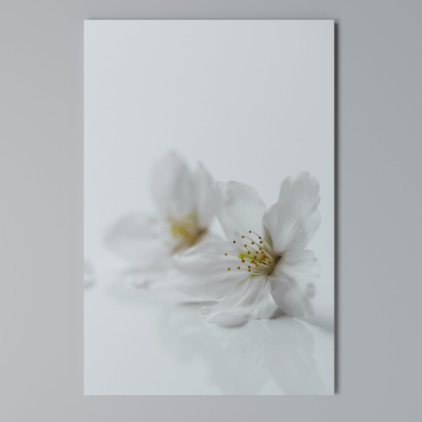 FLEETING WHITE PETALS Stampa su Tela Verticale