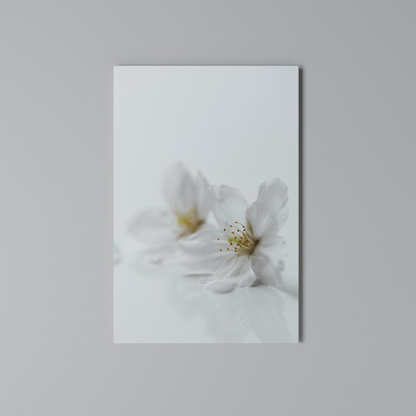 FLEETING WHITE PETALS Stampa su Tela Verticale