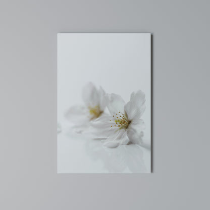 FLEETING WHITE PETALS Stampa su Tela Verticale