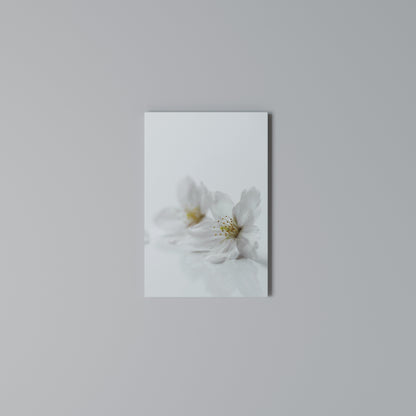 FLEETING WHITE PETALS Stampa su Tela Verticale