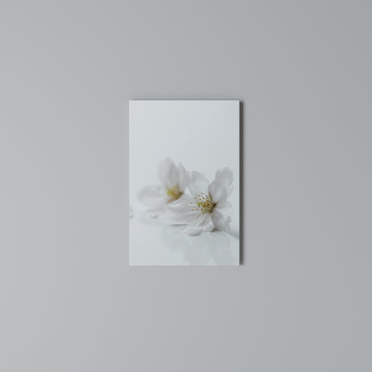 FLEETING WHITE PETALS Stampa su Tela Verticale