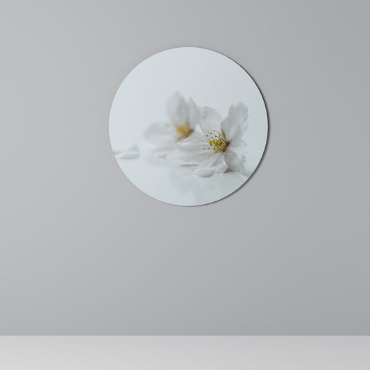 FLEETING WHITE PETALS Round Wall Art