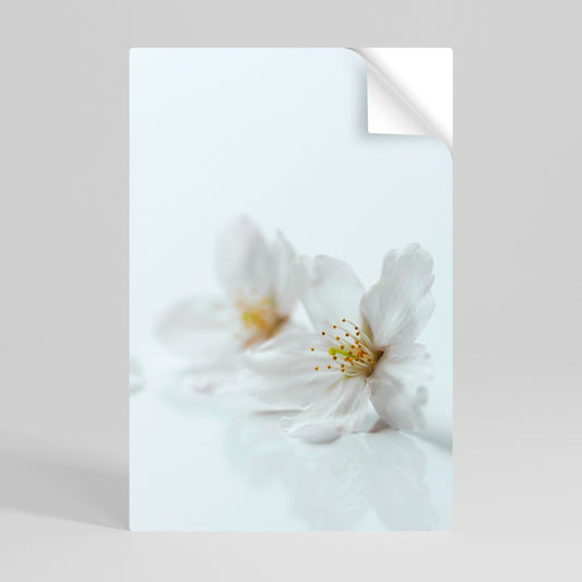 PETALI BIANCHI FUGACI Poster verticale staccabile e attaccabile