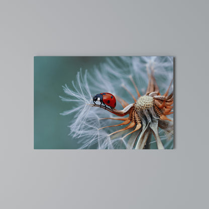 LADYBUG BALANCE Stampa su tela orizzontale