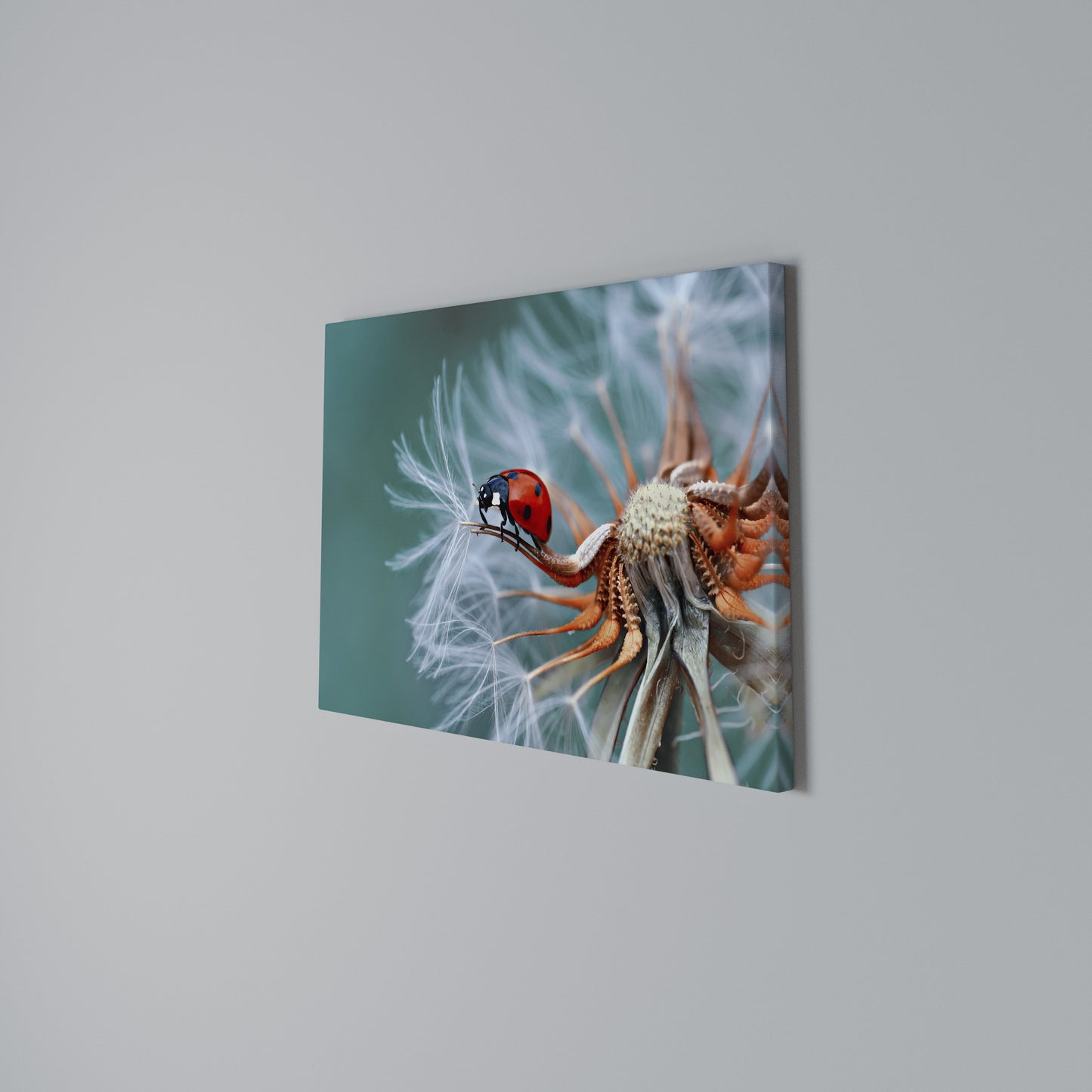 LADYBUG BALANCE Stampa su tela orizzontale