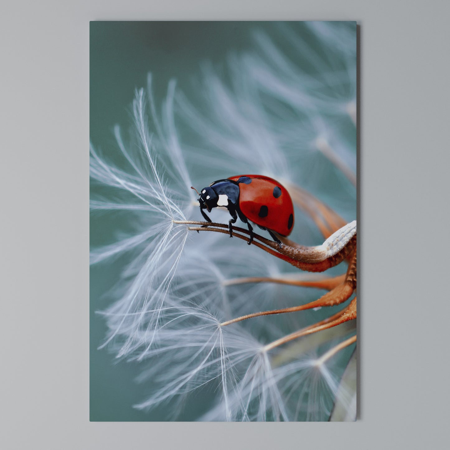 LADYBUG BALANCE Stampa su Tela Verticale