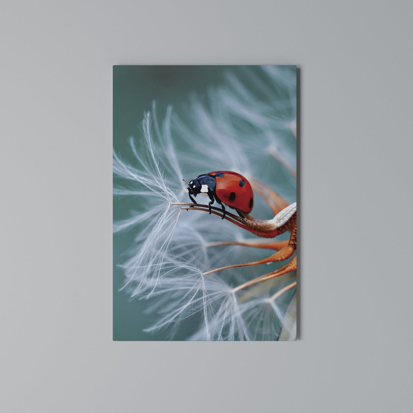 LADYBUG BALANCE Stampa su Tela Verticale