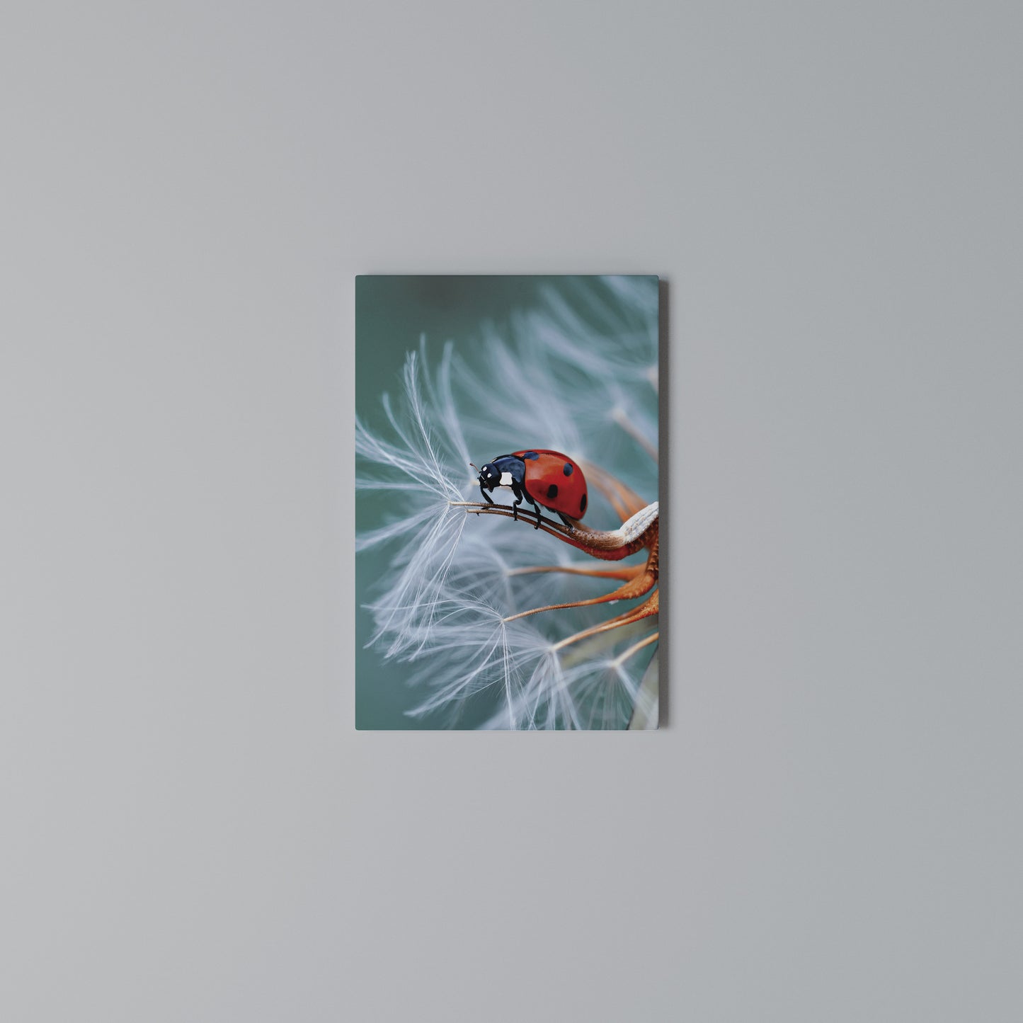 LADYBUG BALANCE Stampa su Tela Verticale