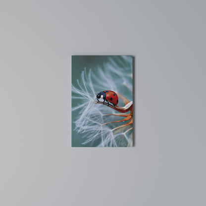 LADYBUG BALANCE Stampa su Tela Verticale