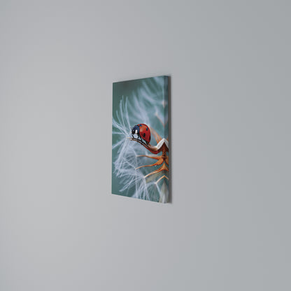 LADYBUG BALANCE Stampa su Tela Verticale