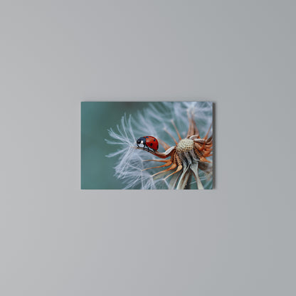 LADYBUG BALANCE Stampa su tela orizzontale