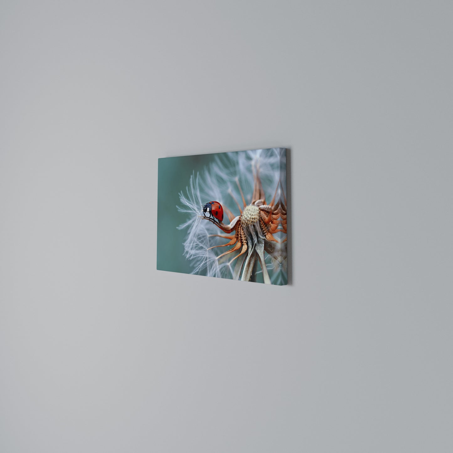 LADYBUG BALANCE Stampa su tela orizzontale