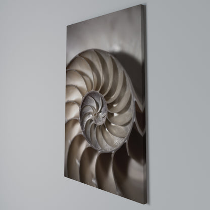 WHISPERS OF SHELLS Stampa su Tela Verticale