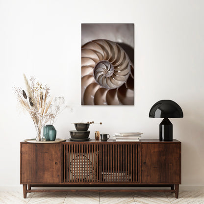 WHISPERS OF SHELLS Stampa su tela verticale