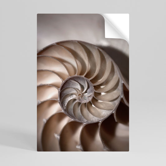 Poster verticale staccabile e attaccabile SUSSURRI DI CONCHIGLIE