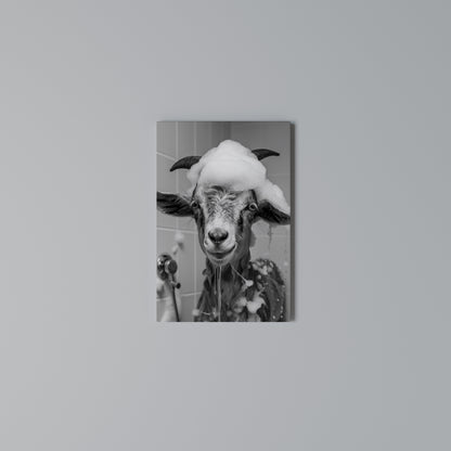 SOAPY GOAT GIGGLES Stampa su Tela Verticale
