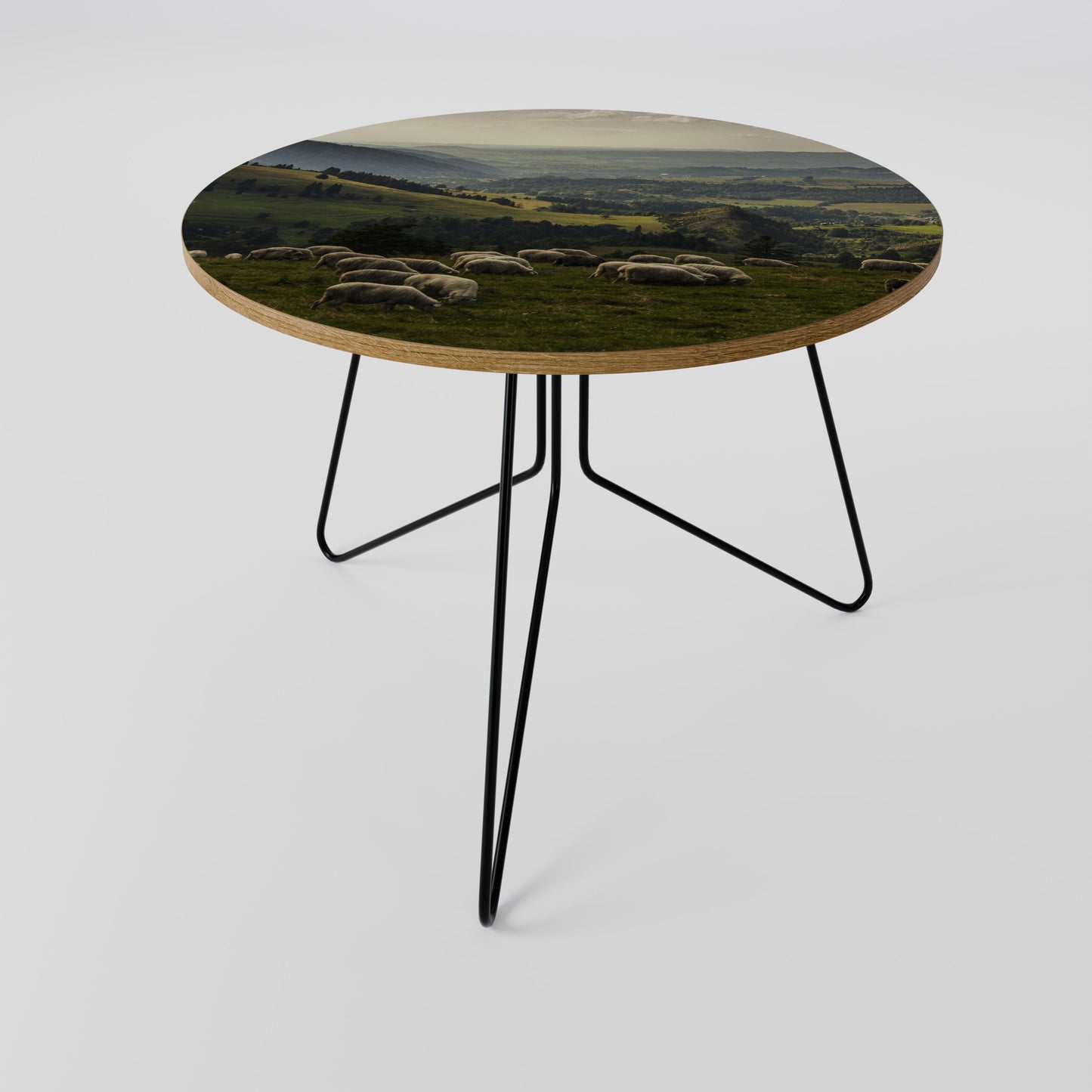 SHEEP IN SERENITY Coffee Table 69