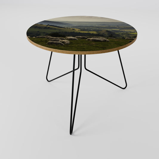 SHEEP IN SERENITY Coffee Table 69