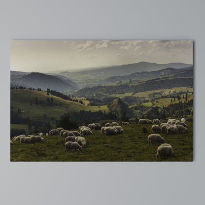 SHEEP IN SERENITY Stampa su tela orizzontale