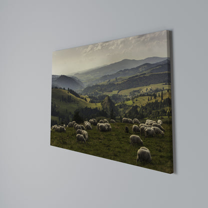 SHEEP IN SERENITY Stampa su tela orizzontale