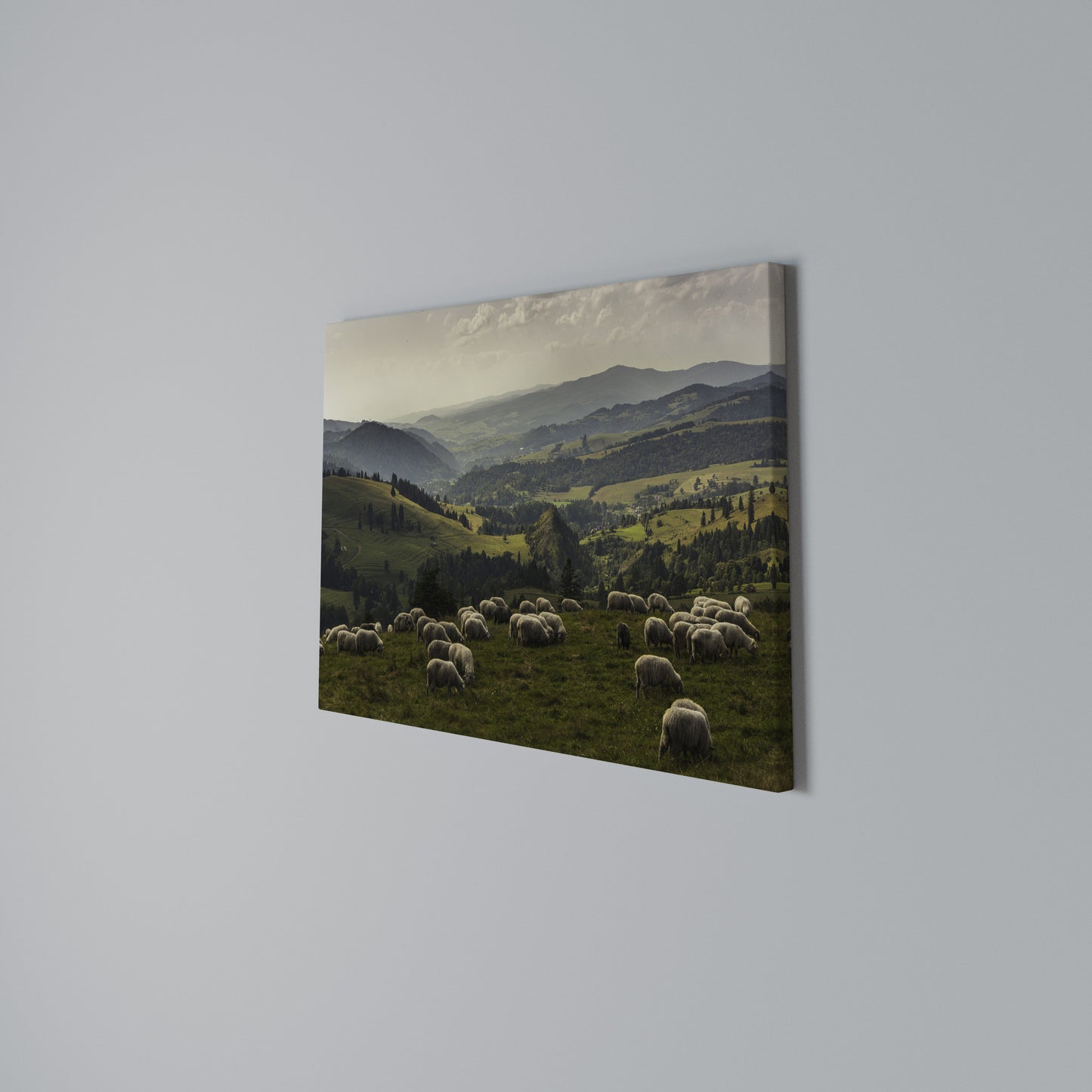 SHEEP IN SERENITY Stampa su tela orizzontale