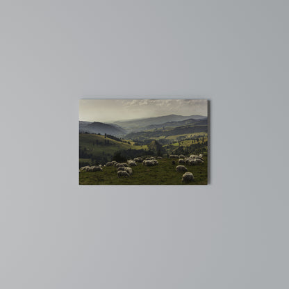 SHEEP IN SERENITY Stampa su tela orizzontale