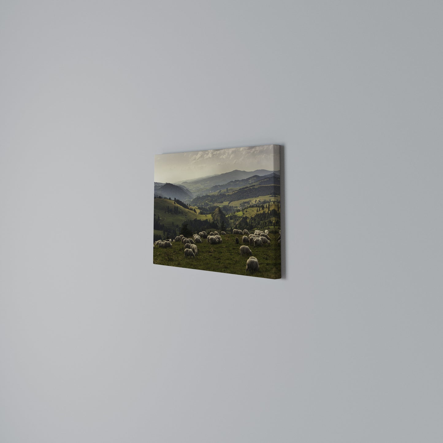 SHEEP IN SERENITY Stampa su tela orizzontale