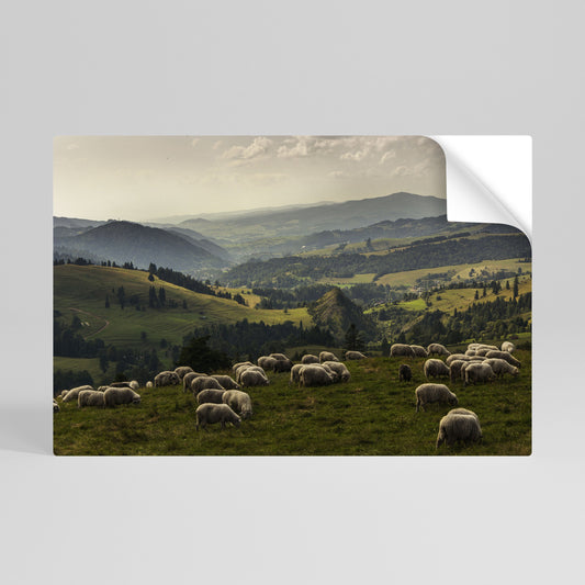 PECORA IN SERENITÀ Poster orizzontale staccabile e attaccabile
