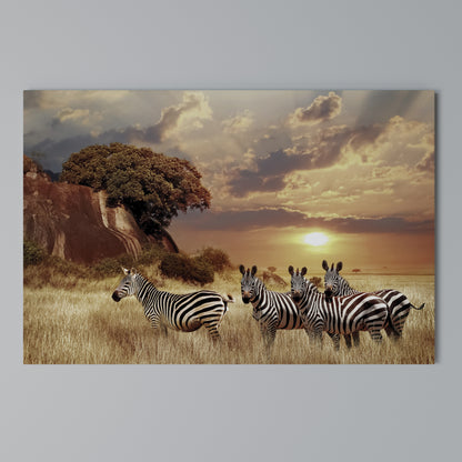 ZEBRA SUNSET SERENADE Stampa su tela orizzontale