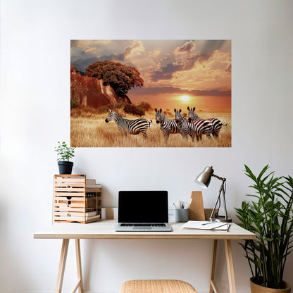 Poster orizzontale staccabile e attaccabile "ZEBRA SUNSET SERENADE"