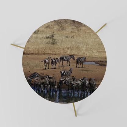Tavolino da caffè ZEBRA HARMONY 60