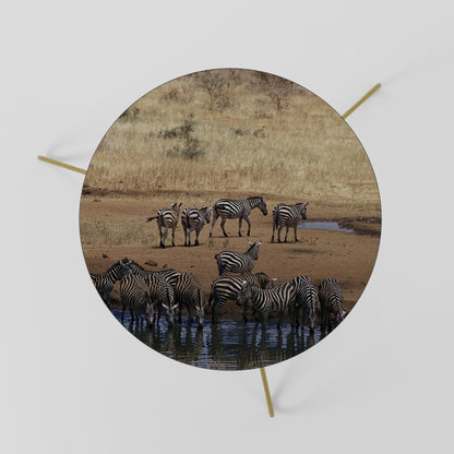Tavolino da caffè ZEBRA HARMONY 60