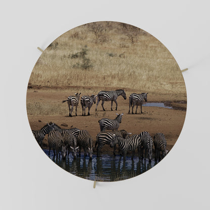 THE ZEBRA HARMONY Coffee Table 69