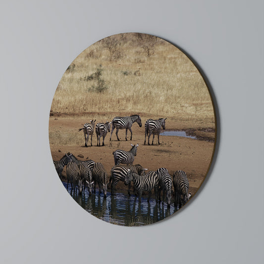 L'ARMONIA DELLA ZEBRA - Decorazione murale rotonda