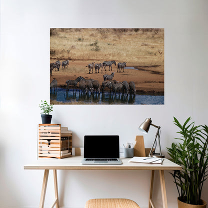 Poster orizzontale staccabile e attaccabile THE ZEBRA HARMONY