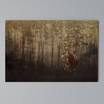 WHISPERING WOODS MYSTIQUE Stampa su tela orizzontale
