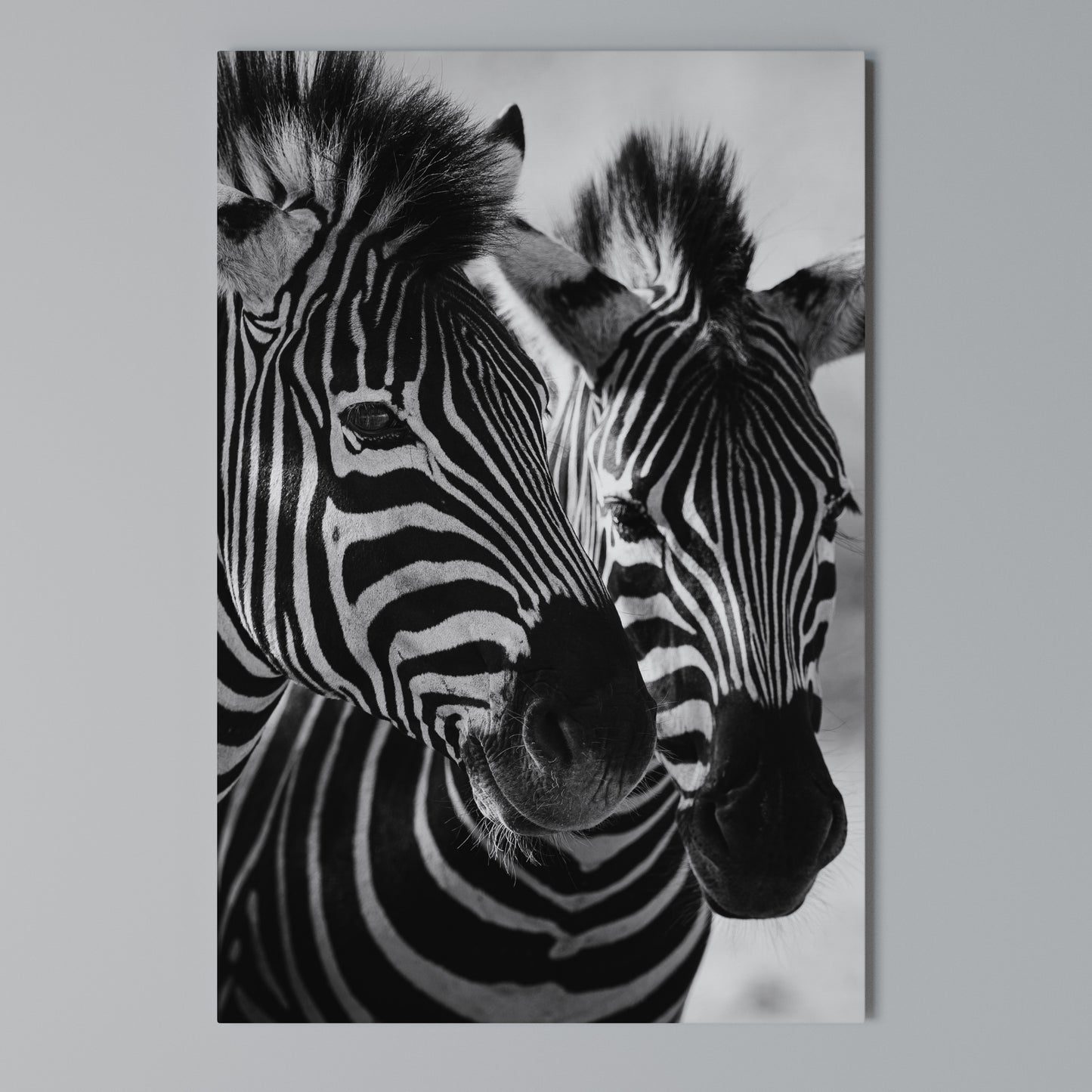 STRIPED SYMPHONY Stampa su Tela Verticale